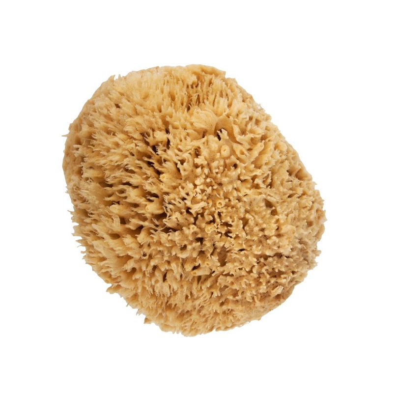 NICE Natural Sea Wool Sponge|Small|Medium|Large