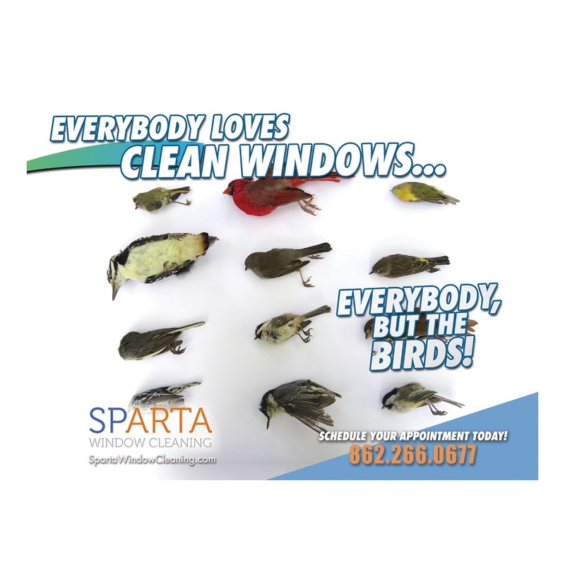 Everybody But The Birds Design Suite