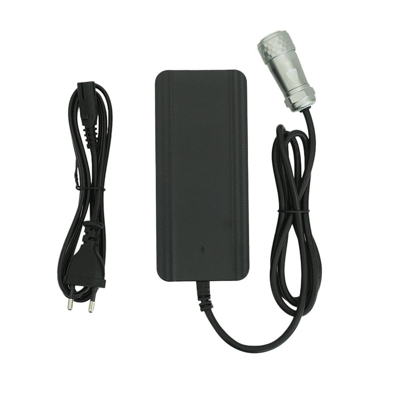 QLEEN Battery Charger with Adapter