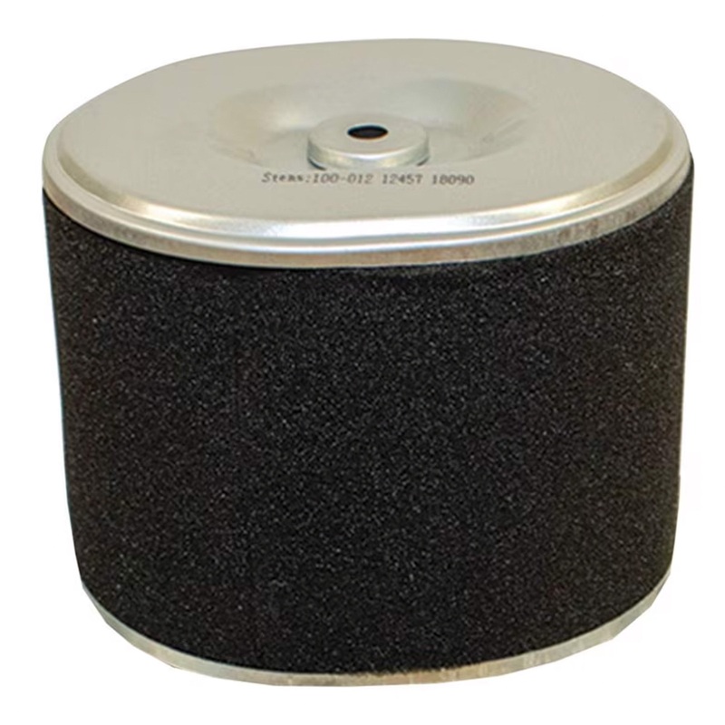 Stens 100012 Air Filter Combo