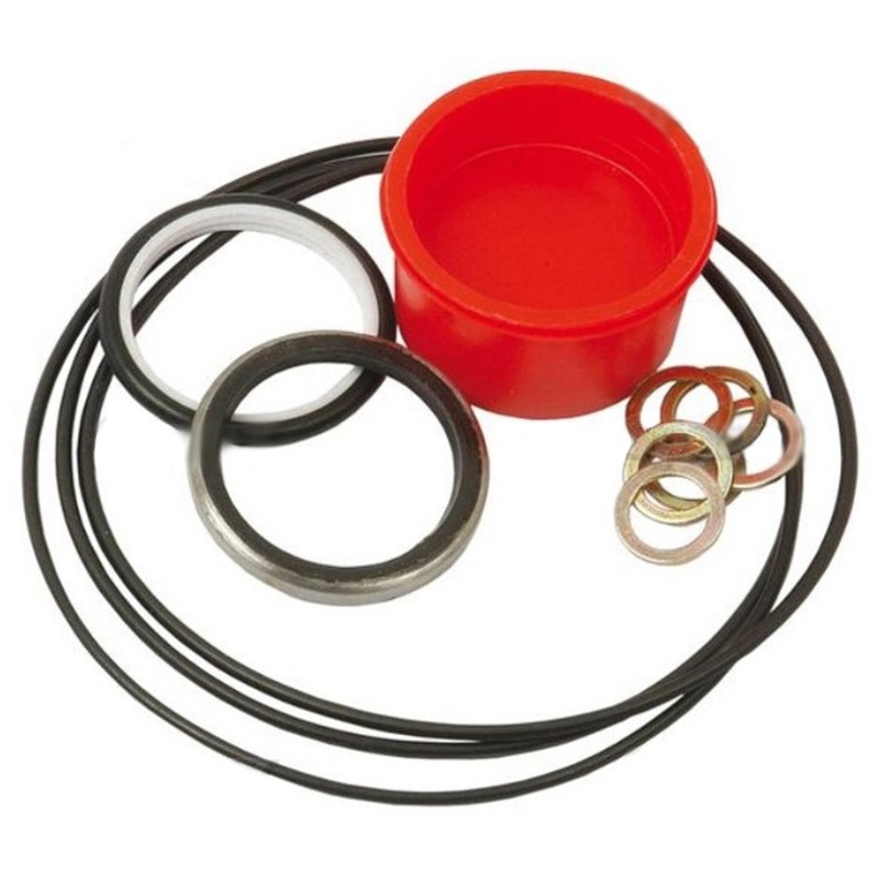 Fits Massey Ferguson 1810503M92 Seal Kit, Orbital Steering Unit Danfoss Many