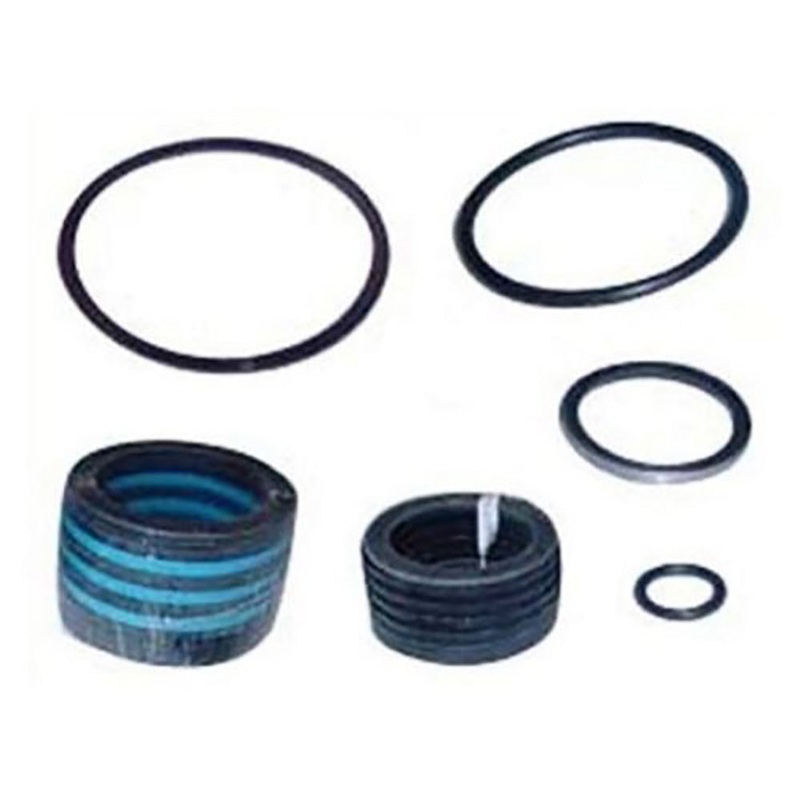 Hydraulic Cylinder Seal Kit Fits Ford/New Holland Replaces 309956