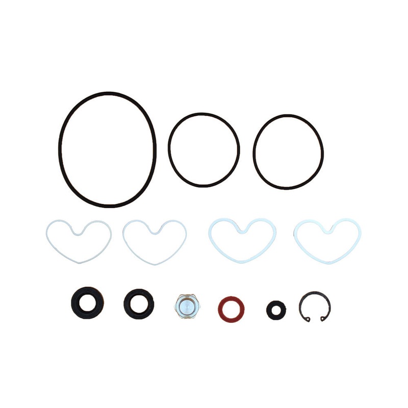 Power Steering Pump Seal Kit Fits Landini Replaces 1810839M91