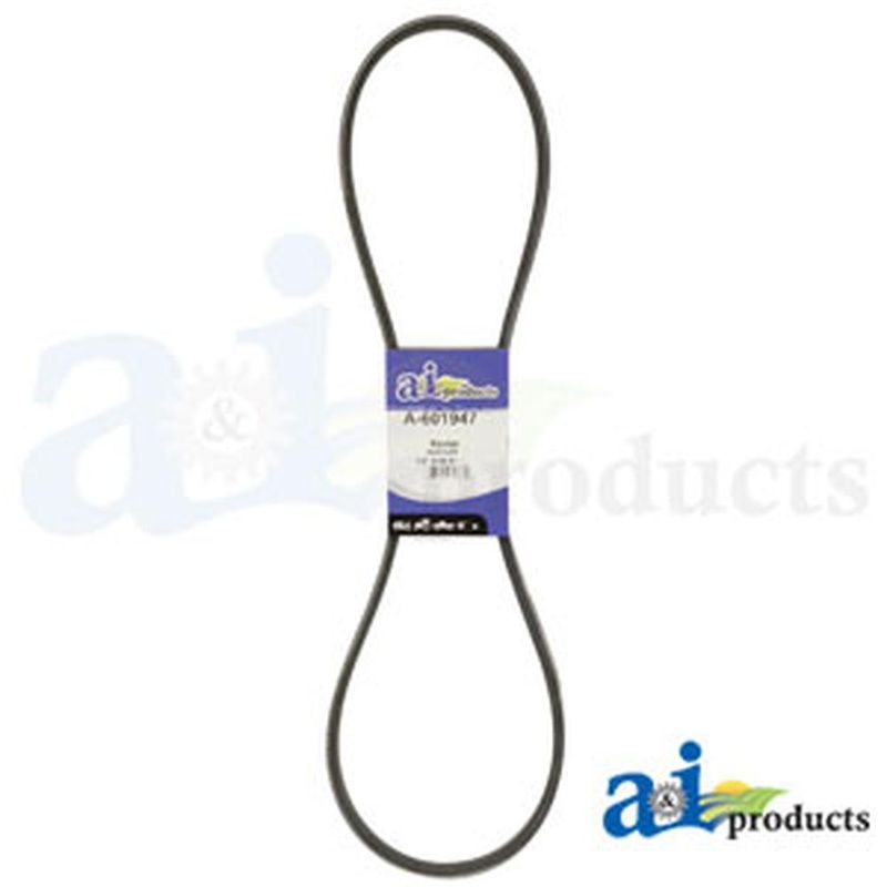 601947 HUSTLER BELT