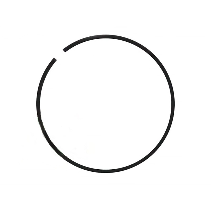 Input Shaft Ring Fits Ford/New Holland Replaces 1754395M1