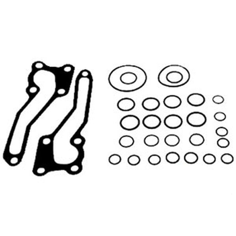 O-Ring Kit Fits Massey Ferguson Replaces 1810684M91