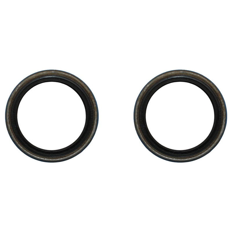 Qty. 2: Oil Seal Fits Dexter Replaces 10-60