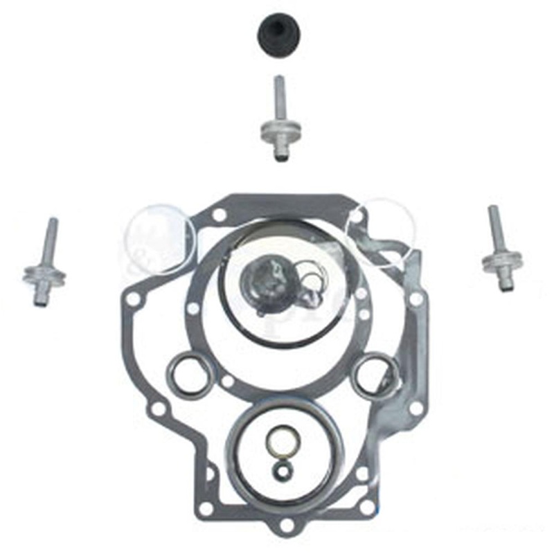 IPTO Gasket Kit with Brake Pistons Fits International 706 756 766 1066 77721C91
