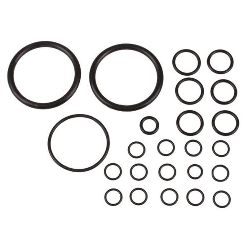 Hydraulic Lift Pump Seal Kit Fits Landini Replaces 894906M91