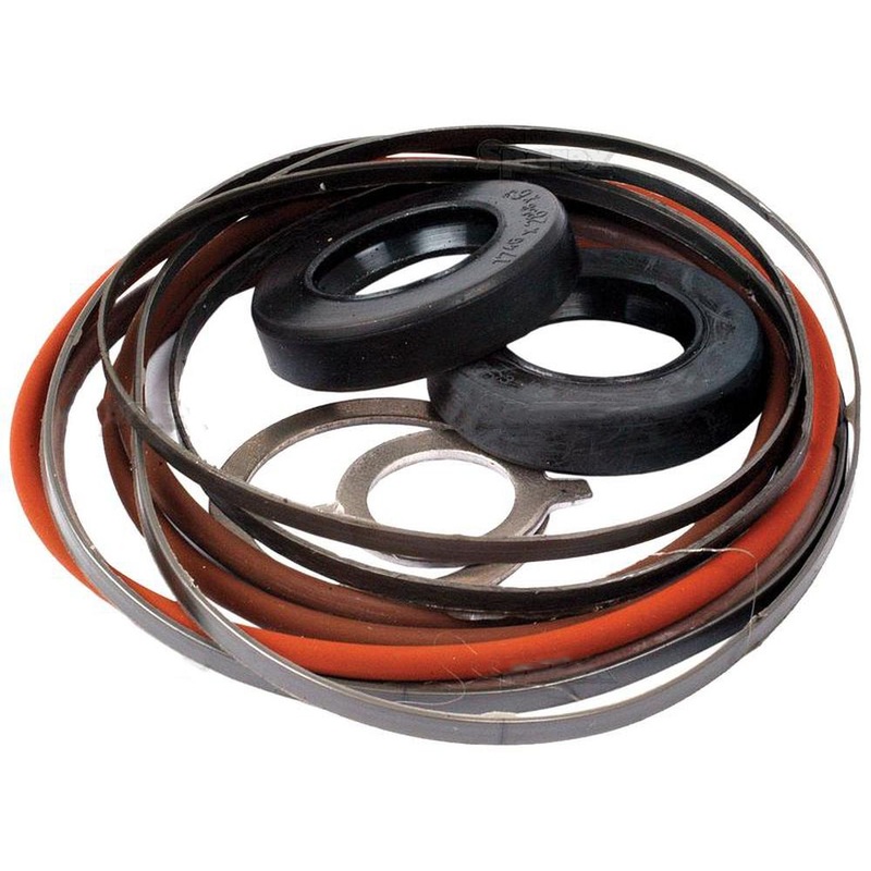 S.62807 Seal Kit, Power Steering Pump Fits Fiat