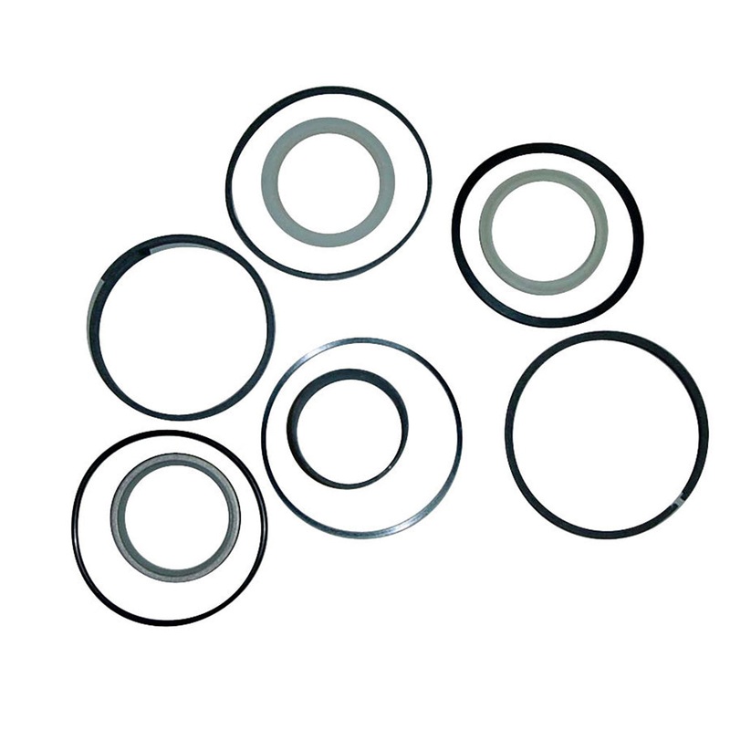 Hydraulic Seal Kit – Dipper Cylinder Fits Case 580L 580M 234844A1