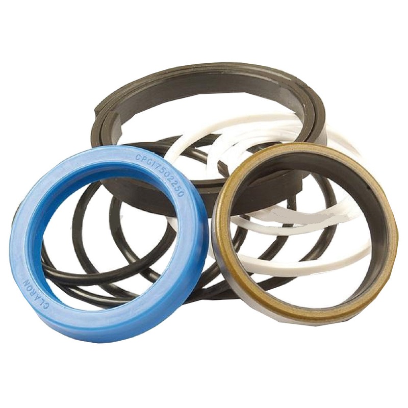 1606583M93 Lift Cylinder Seal Kit Fits Massey Ferguson 250