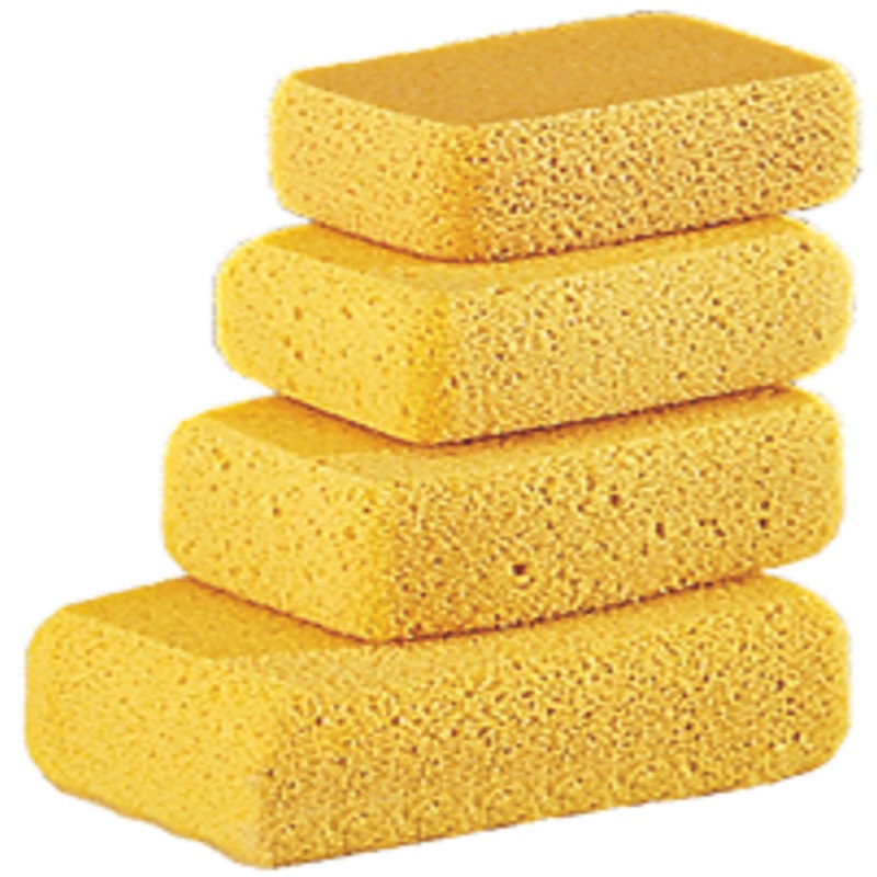 Gundlach HS Hydra Sponges – Case
