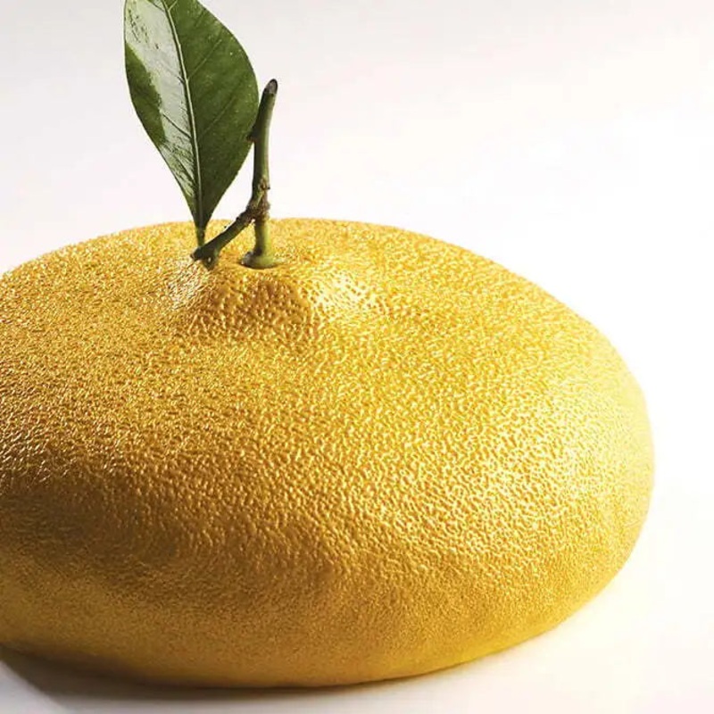 Pavocake Citron 1 Form – Cedric Grolet