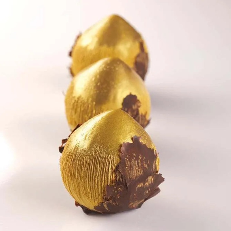 Pavoni Noisette Mold 8 Forms – Cedric Grolet