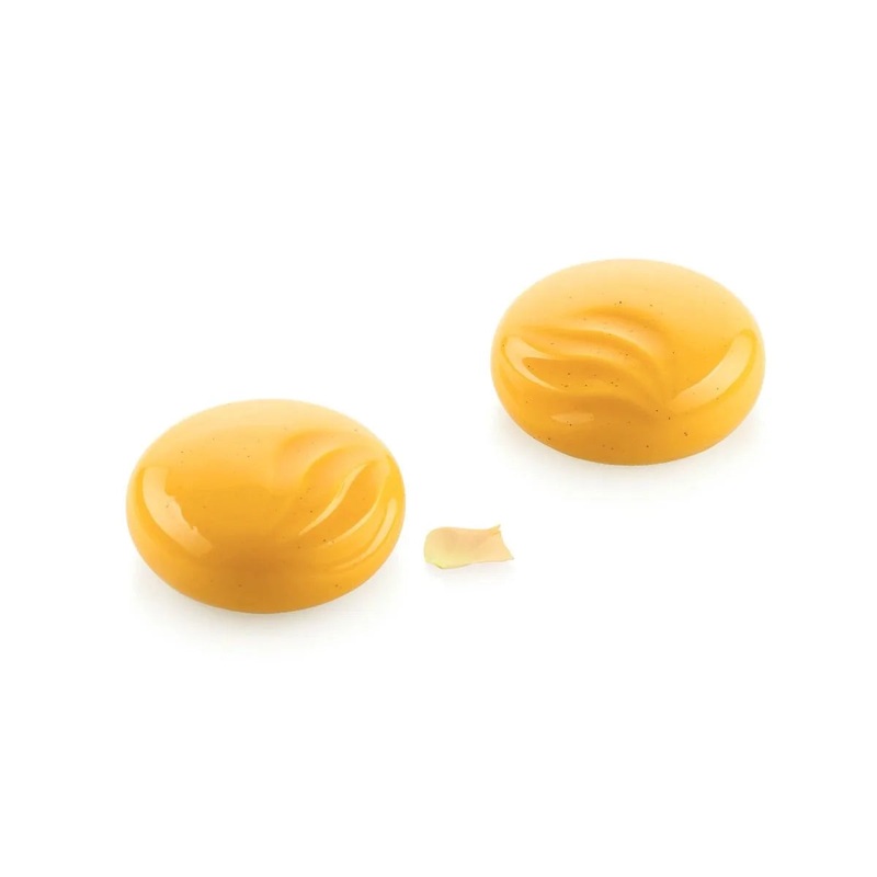 Silikomart – Ocean 100 – 6 Forms
