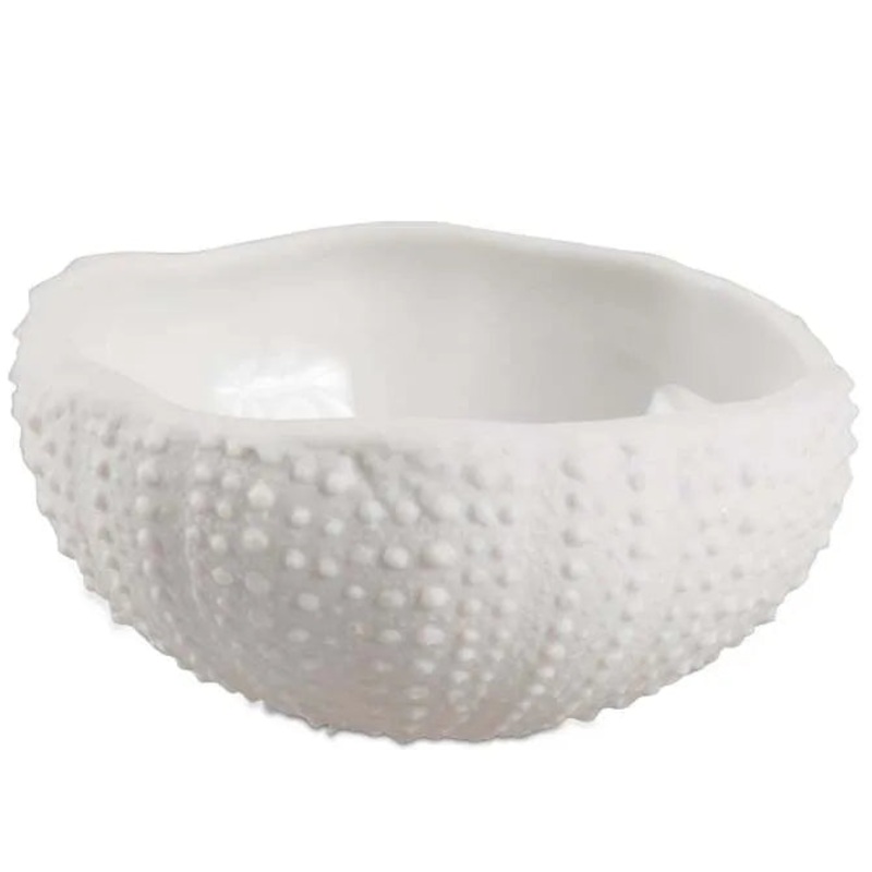 Sea Urchin Dishes|1oz|1.5oz|4.25oz