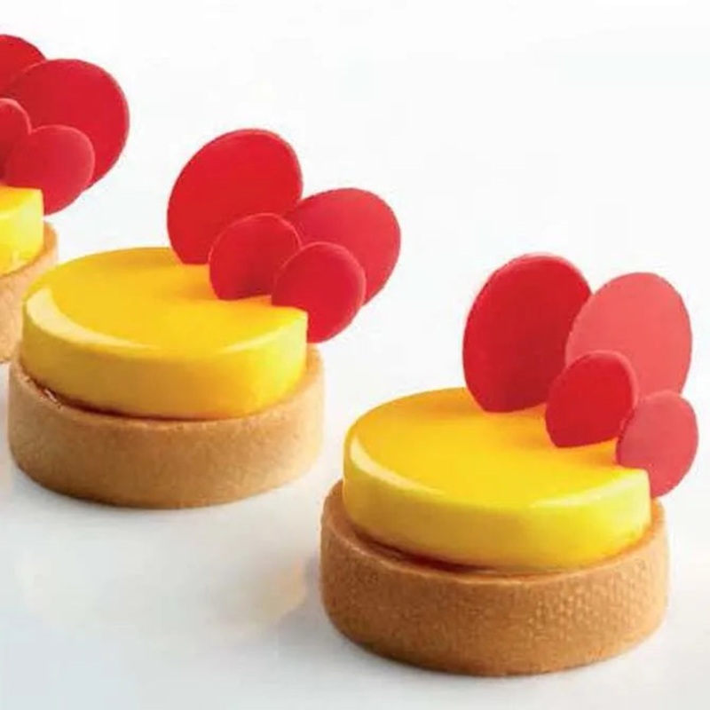 Pavoflex Disk Silicone Mold – 24 Forms