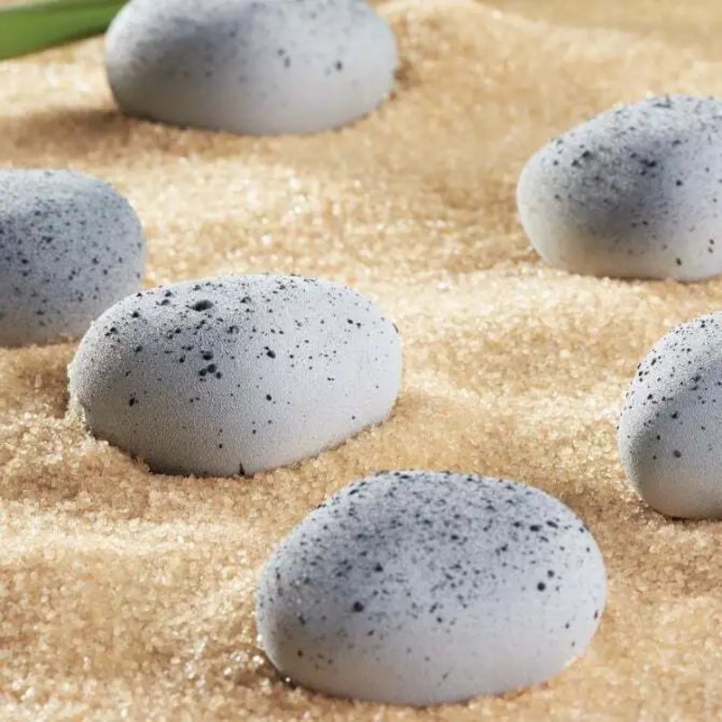 Pavoflex Silicone Zen Mold – 12 Forms