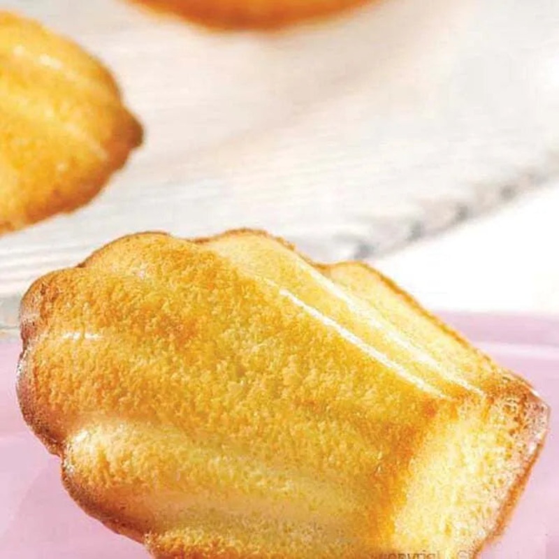 Non-Stick Mini – Madeleine 20 forms