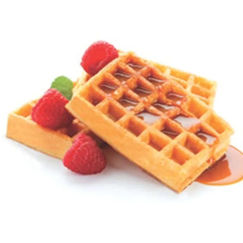 Waffle Silicone Mold – 20 Forms
