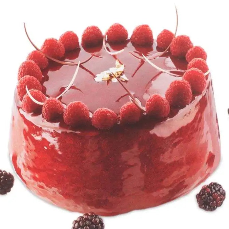 White Nonstick Genoise Mold